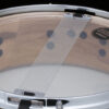 Tama S.L.P.- LGH1445-GNE Limited Edition G-Hickory Snaredrum 14×4,5 w Elm Outer Ply